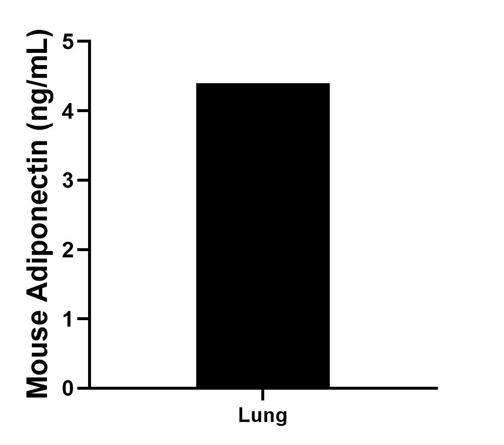 lungs from one mouse were chopped into 1-2 mm pieces and seeded into approximately 30 mL of media containing RPMI, 10% fetal bovine serum, 50 μM β-mercaptoethanol, and L-glutamine.The mean Adiponectin concentration was determined to be 4.4 ng/mL in lung cell culture supernatant.